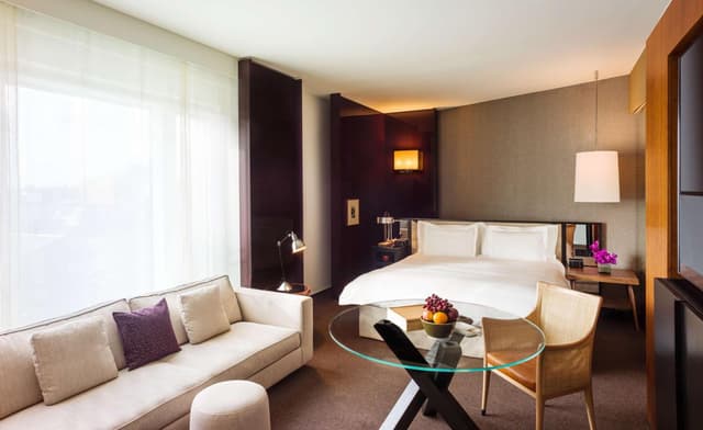 Junior Suite · photo 1
