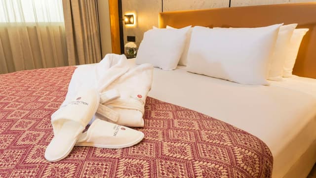 Superior Double or Two Queen Room · photo 6