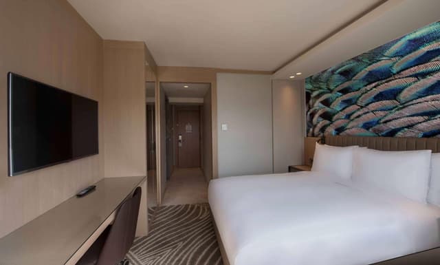Queen Room with Balcony · photo 8