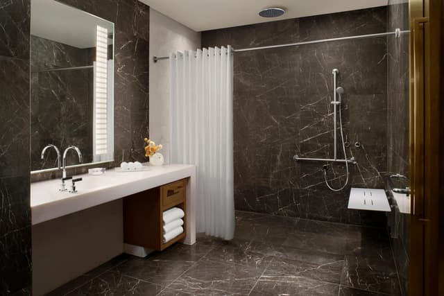 Accessible King Room · photo 5