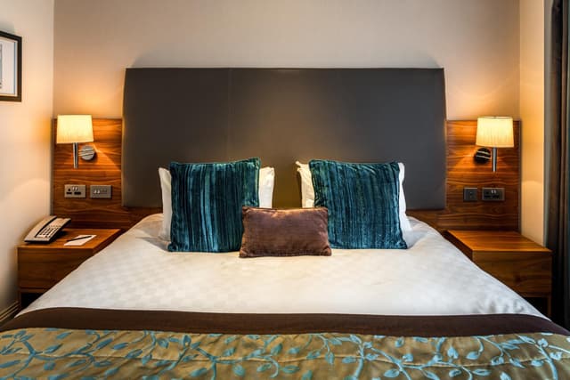 Deluxe King Room · photo 7