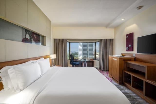Deluxe King Room · photo 4