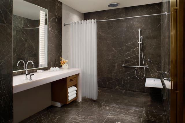 Accessible King Room · photo 6