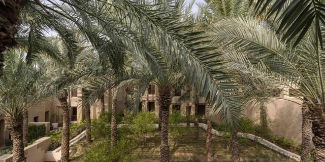Deluxe Garden View Twin Room · photo 6