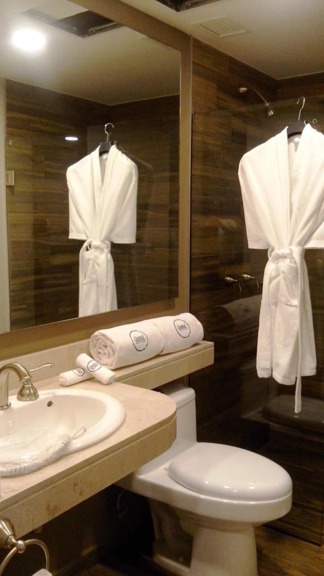 Deluxe Room · photo 7