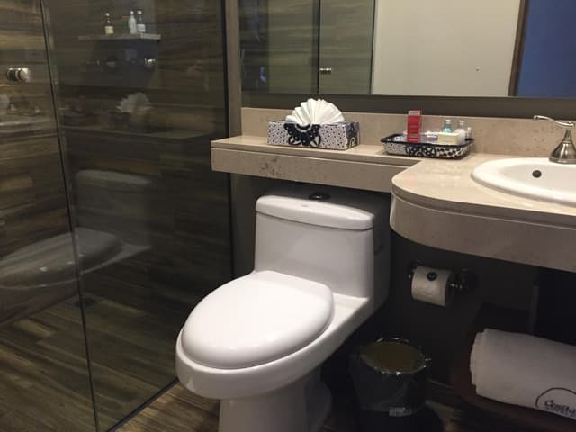 Deluxe Room · photo 3