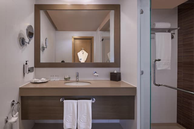 Guest Rooms With One Day Yas Theme Park Access For Two Adults · photo 4