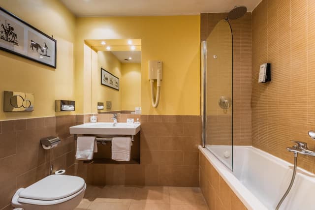 Classic Double Room · photo 4