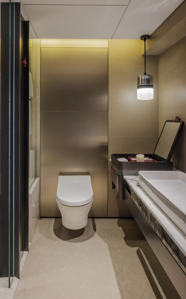 Premier, 1 King Plus, Balcón, Vista a la Ciudad · foto 6