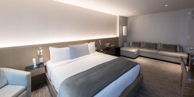 Suite Junior con una cama king size · foto 1