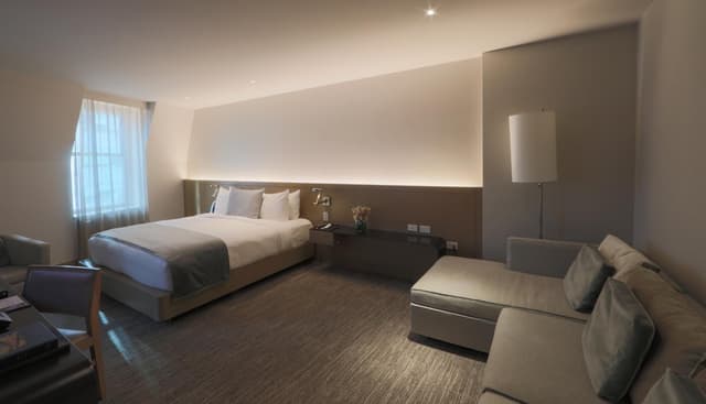 Suite Junior con una cama king size · foto 4