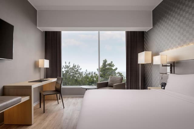 Deluxe King Room with Partial Ocean View · photo 2