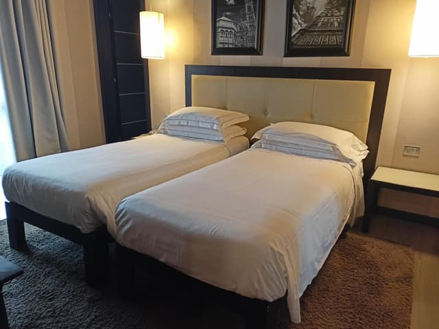 Double or Twin Room · photo 1