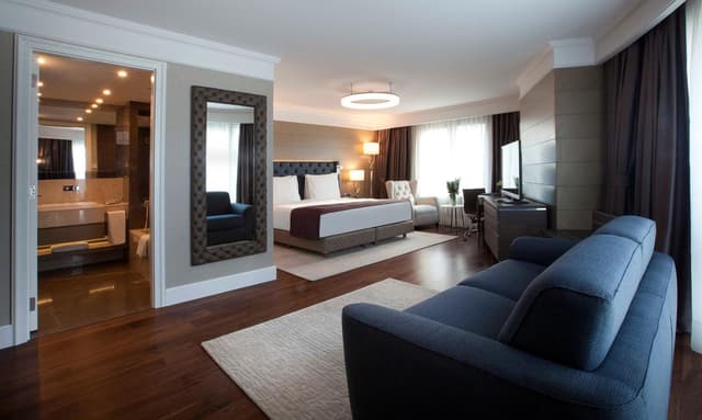 Suite Junior con vistas a la ciudad - Acceso a Lounge · foto 7