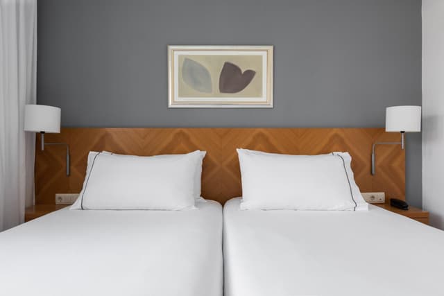 Deluxe Double or Twin Room · photo 3