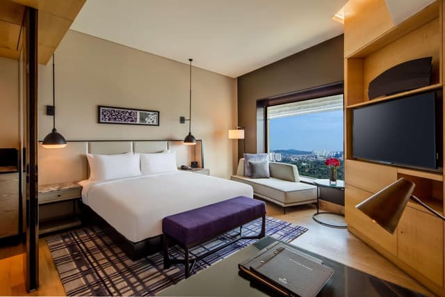 King Deluxe Plus Room · photo 2