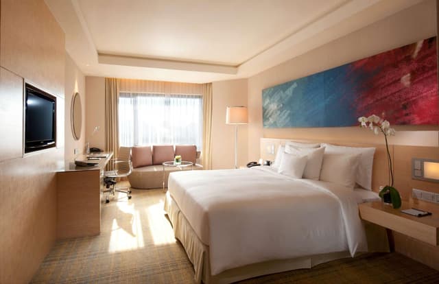 Deluxe King Room · photo 3