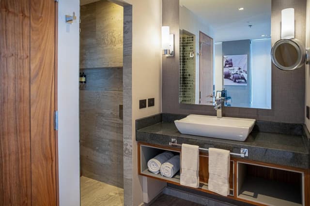Deluxe Room 1 King · photo 2