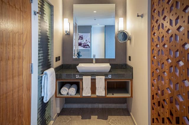 Deluxe Room 1 King · photo 4