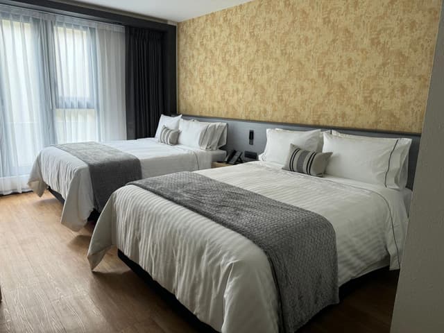Deluxe Double Room · foto 4