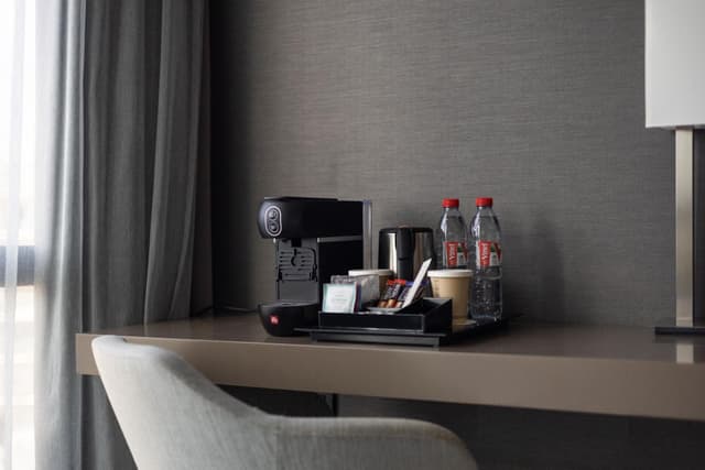 Classic King Room with City View · photo 5