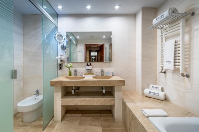 Superior Double or Twin Room · photo 3