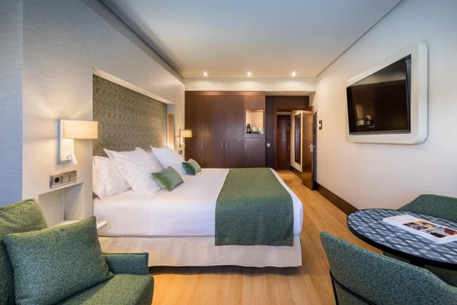 Deluxe Room with a View · photo 6