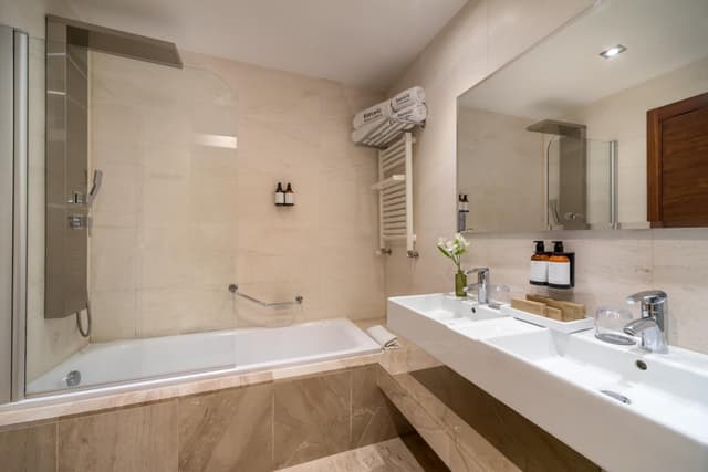 Superior Double or Twin Room · photo 4