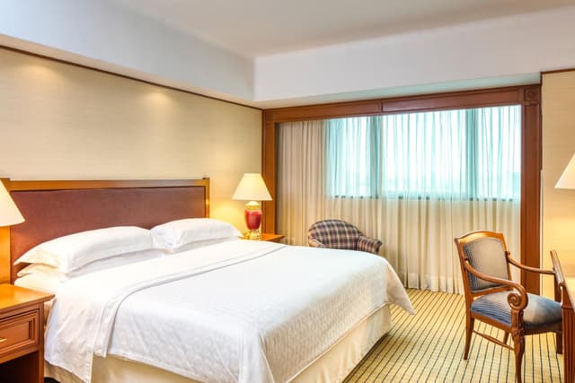 Sala clásica, habitación de huéspedes, 1 cama king, Torre Danubio · foto 1