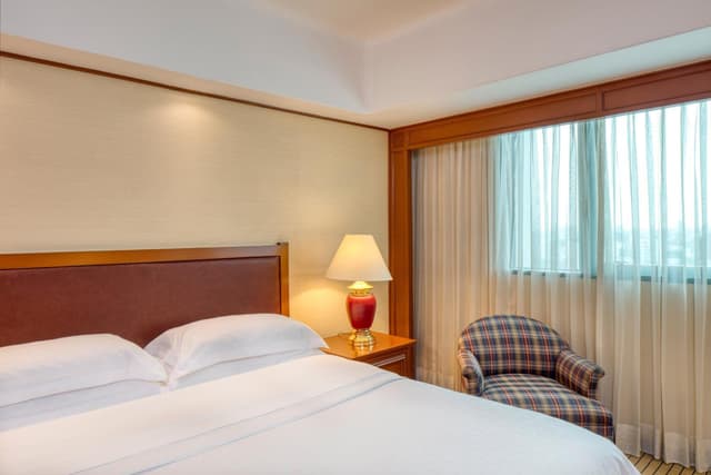 Sala clásica, habitación de huéspedes, 1 cama king, Torre Danubio · foto 3