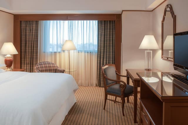 Sala clásica, habitación de huéspedes, 1 cama king, Torre Danubio · foto 4