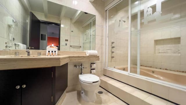 Junior Suite · foto 4
