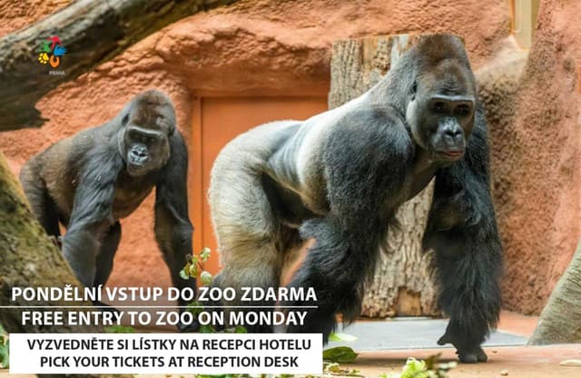 Standard Room with Free ZOO Entry · photo 3