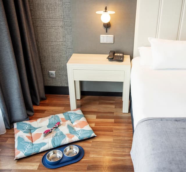 Standard Double Room Pet Friendly · photo 1
