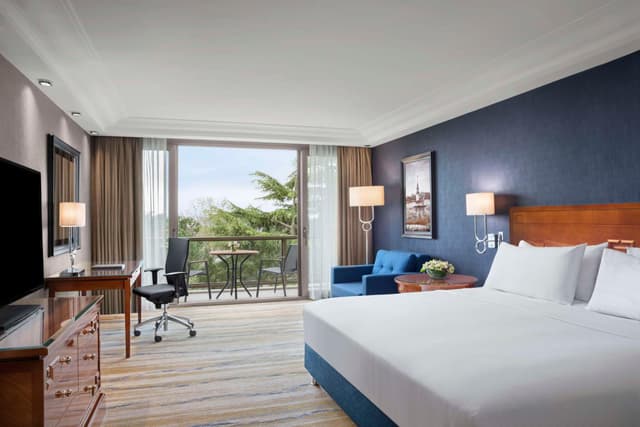 Deluxe King Room with Garden View · photo 7