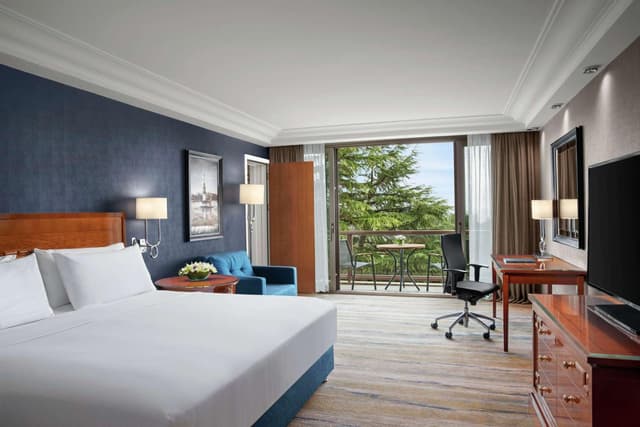Deluxe King Room with Garden View · photo 2