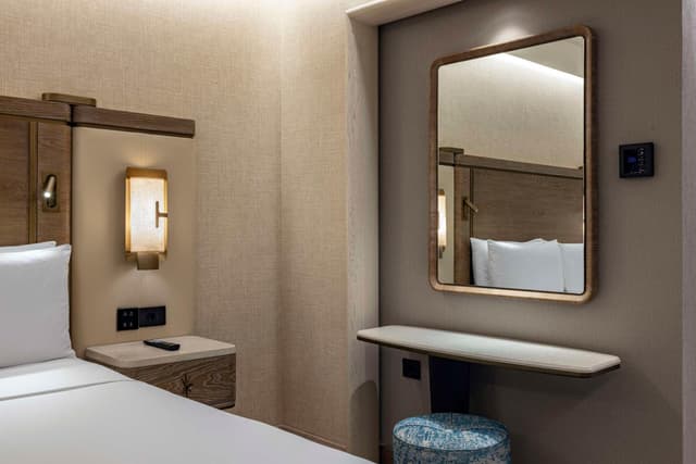 Deluxe King Room with City View · photo 7
