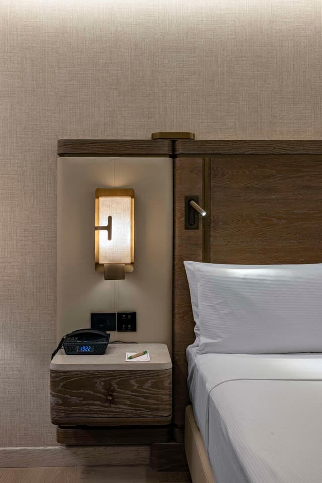 Deluxe King Room with City View · photo 6