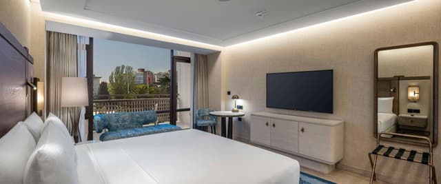 Deluxe King Room with City View · photo 2