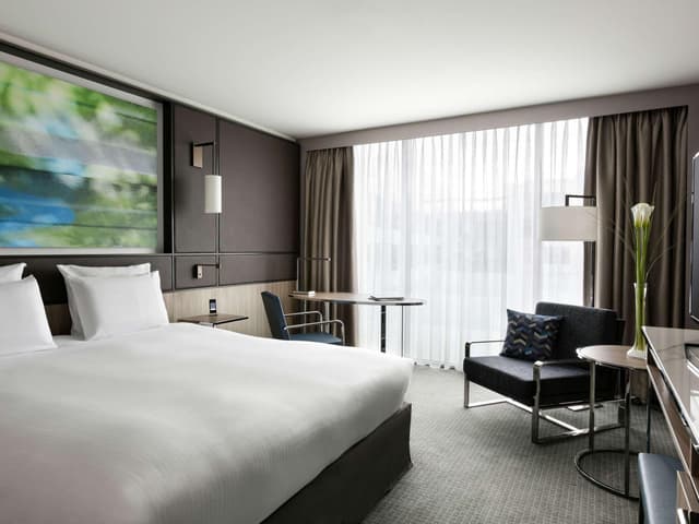 Premium Superior King Room · photo 1