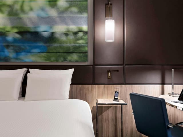 Premium Superior King Room · photo 5