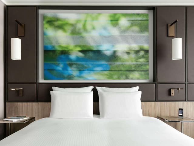 Premium Superior King Room · photo 6