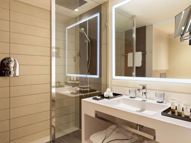 Premium Superior King Room · photo 4