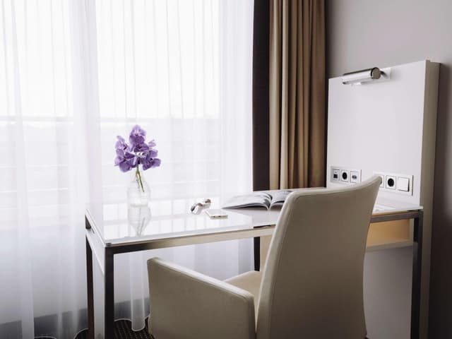 Superior Double or Twin Room · photo 3