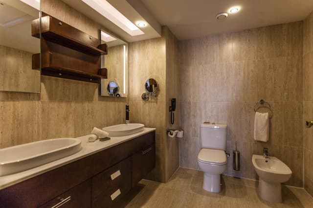 One-Bedroom Suite · photo 4