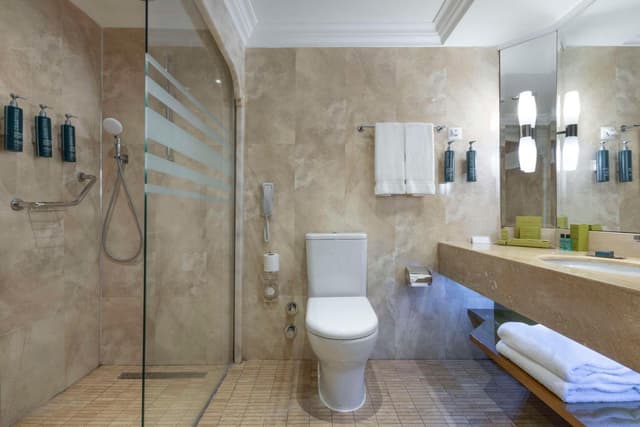 Deluxe King Room with Garden View · photo 4