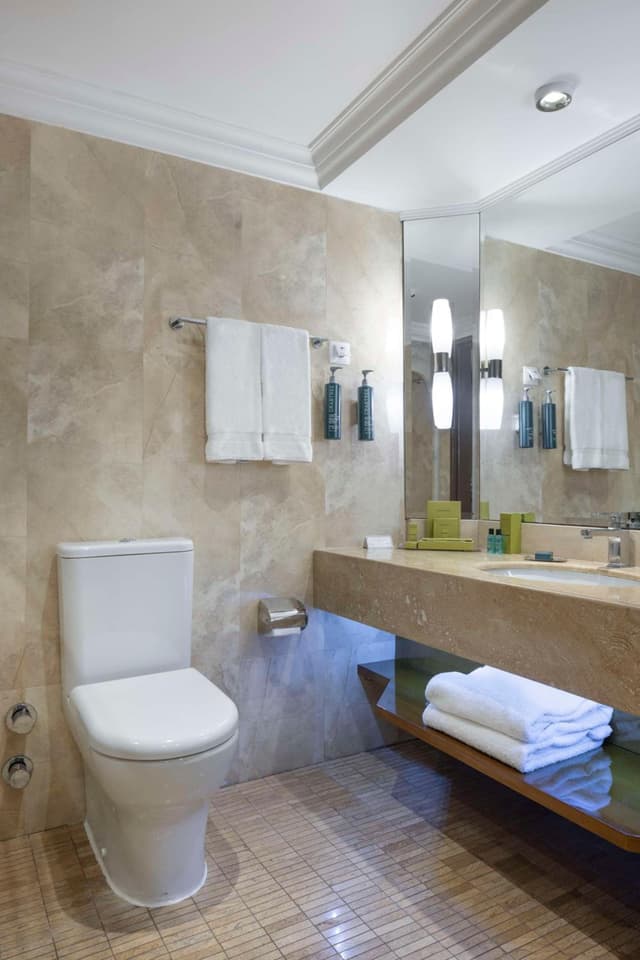 Deluxe King Room with Garden View · photo 5
