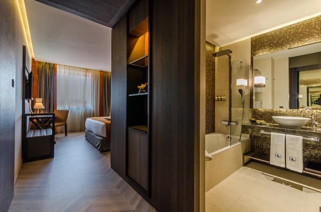Deluxe Double or Twin Room · photo 3