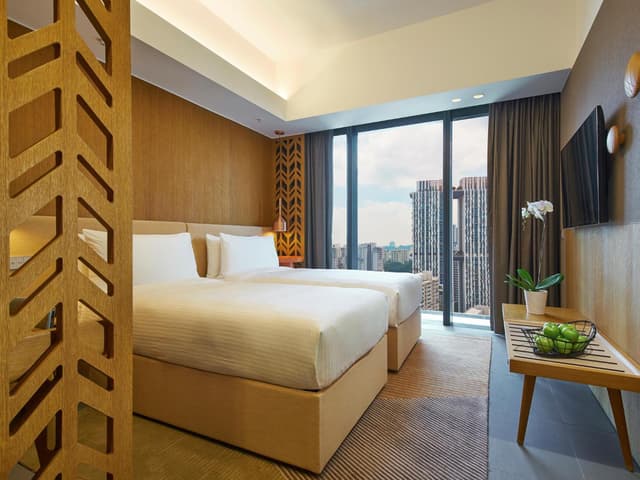 Superior Double or Twin Room · photo 3