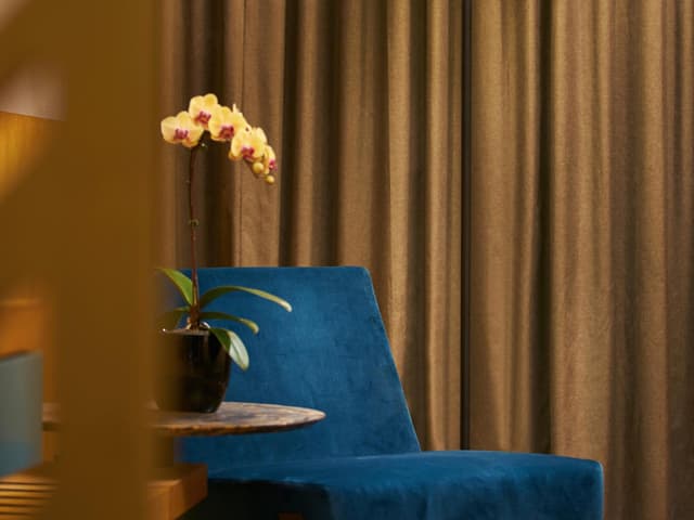 Deluxe Double Room · photo 3